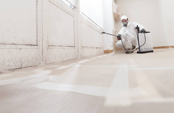 24/7 Emergency Mold Removal experts in Plainsboro, NJ